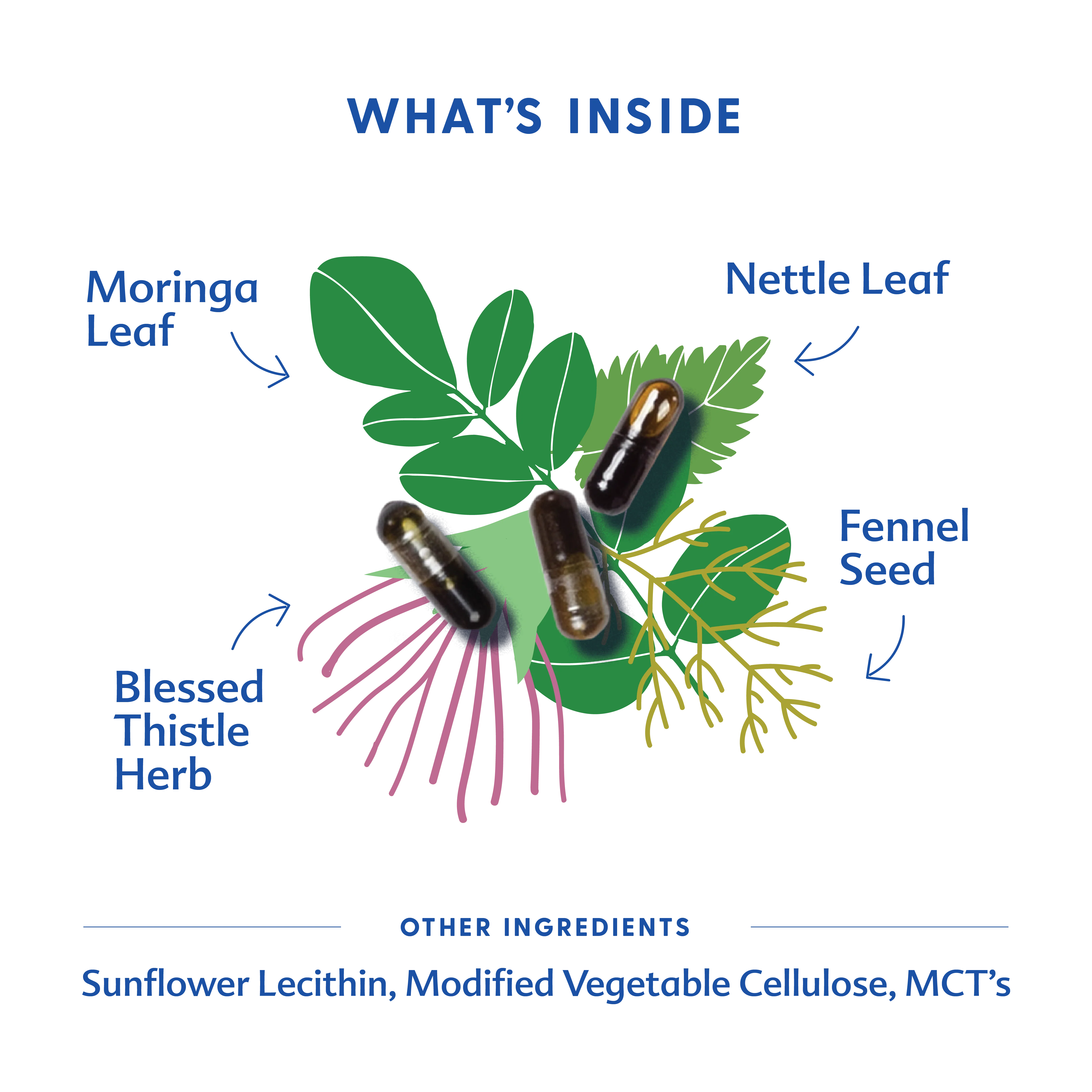 More Milk® Moringa - Liquid Capsules - Image 6