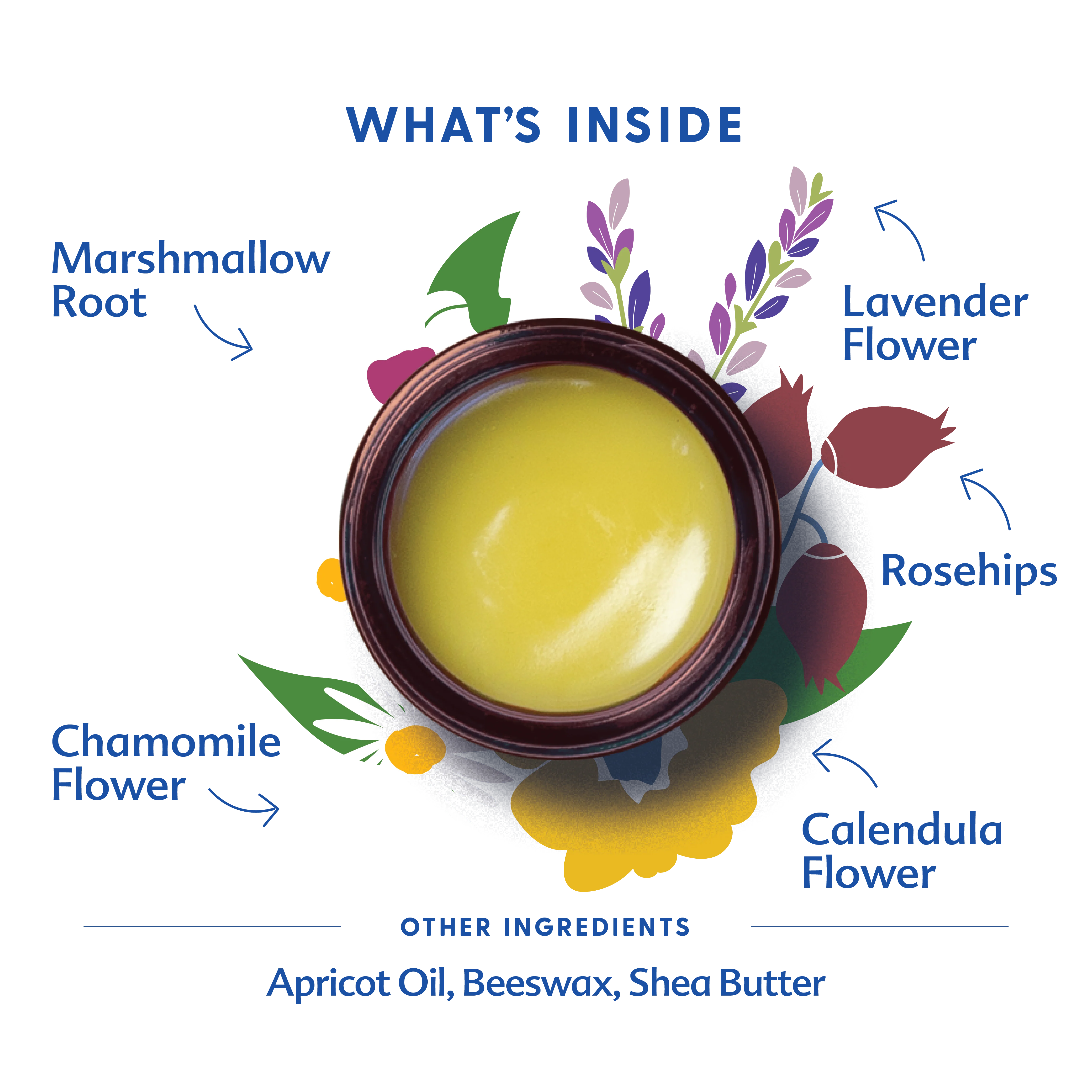 Pregnant Belly Salve - Image 3